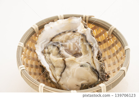 Oysters are in season during the summer. Oysters are in season during the summer. 139706123