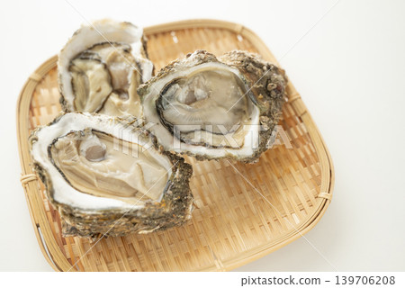 Rock oysters are in season during the summer. Rock oysters are in season during the summer. 139706208