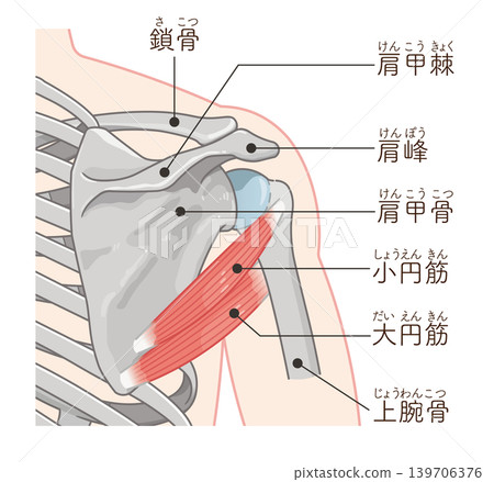 小圓和大圓 139706376