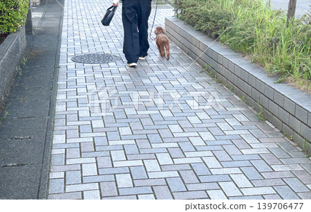A sidewalk paved with herringbone patterned concrete blocks (for walking dogs) A sidewalk paved with herringbone patterned concrete blocks (for walking dogs) 139706477