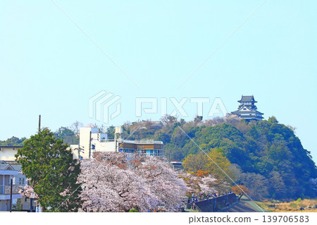 愛知縣犬山市的犬山城和櫻花。 愛知縣犬山市的犬山城和櫻花。 139706583