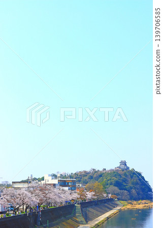 Inuyama Castle and cherry blossoms in Inuyama City, Aichi Prefecture. Inuyama Castle and cherry blossoms in Inuyama City, Aichi Prefecture. 139706585
