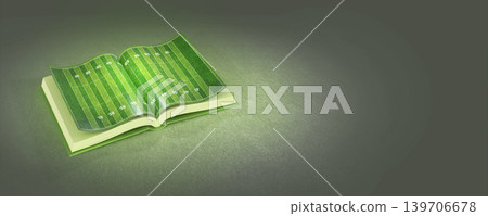 American football field on book theme, 3d rendering American football field on book theme, 3d rendering 139706678