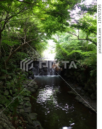 Shiraito Falls, Shirane Park, Shirane Fudo-son Temple, Shirane Shrine Shiraito Falls, Shirane Park, Shirane Fudo-son Temple, Shirane Shrine 139707295