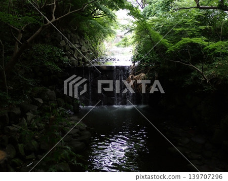 Shiraito Falls, Shirane Park, Shirane Fudo-son Temple, Shirane Shrine Shiraito Falls, Shirane Park, Shirane Fudo-son Temple, Shirane Shrine 139707296