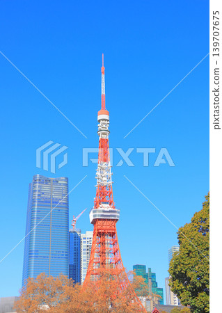 Scenery of Tokyo Tower, Minato-ku, Tokyo Scenery of Tokyo Tower, Minato-ku, Tokyo 139707675