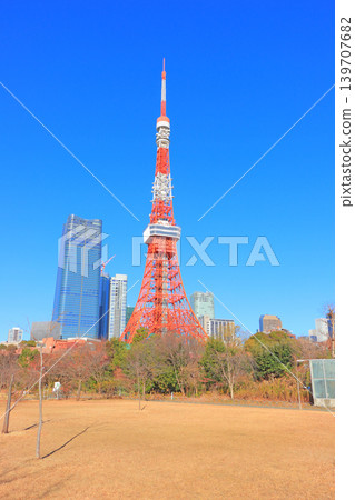 Scenery of Tokyo Tower, Minato-ku, Tokyo 139707682