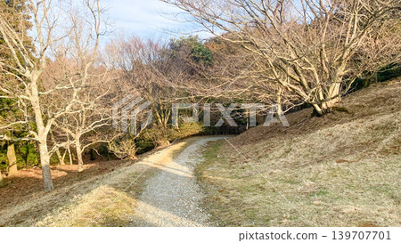 龜之山展望台的風景 龜之山展望台的風景 139707701