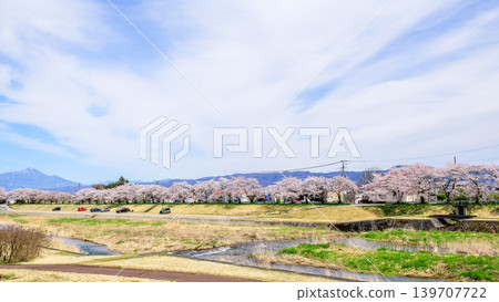 宮川的千棵櫻花樹和磐梯山,福島縣 宮川的千棵櫻花樹和磐梯山,福島縣 139707722