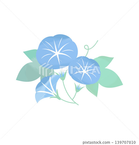 水彩風格的牽牛花和樹葉插圖，充滿夏日日式風情，藍色。 139707810
