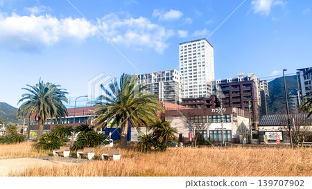 奧薩託海岸綠地的景色 奧薩託海岸綠地的景色 139707902