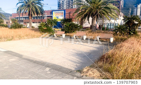 奧薩託海岸綠地的景色 139707903