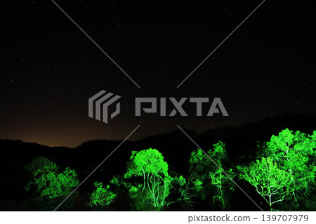繁星點點的夜空下，一片鬱鬱蔥蔥的水下森林熠熠生輝：白川湖畔的夢幻景象[山形縣飯出町] 139707979