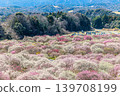 Inabe Bairin Park 139708199