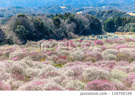 Inabe Bairin Park Inabe Bairin Park 139708199