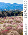 Inabe Bairin Park 139708200