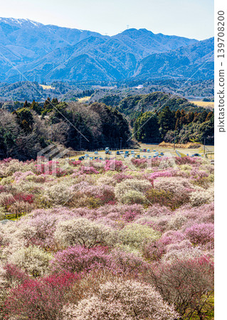 Inabe Bairin Park 139708200