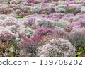 Inabe Bairin Park 139708202