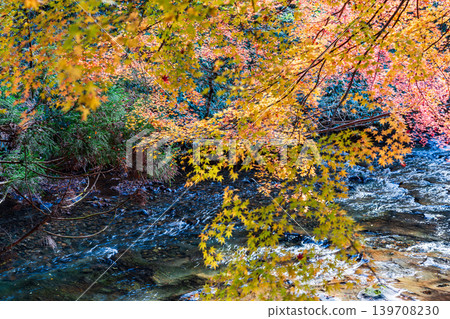 [Japan's Top 100 Waterfalls] Ryuzu Yaetaki Falls: Autumn Leaves and Streams (9) - Unnan City, Shimane Prefecture 139708230