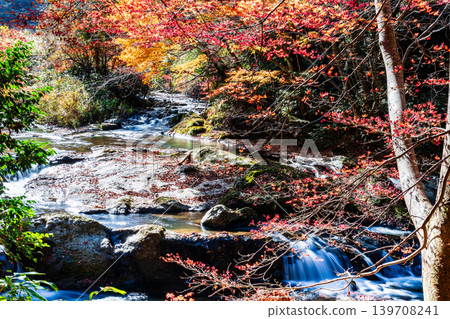 [Japan's Top 100 Waterfalls] Ryuzu Yaetaki Falls: Autumn Leaves and Streams (Part 7) - Unnan City, Shimane Prefecture 139708241