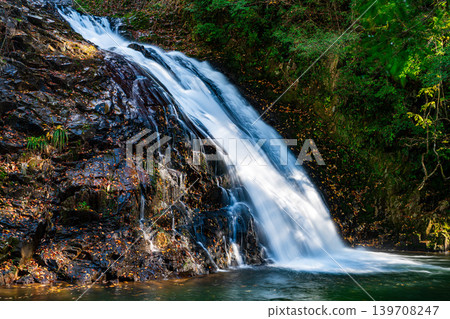 [Japan's Top 100 Waterfalls] Ryuzu Yaetaki Waterfall, Yashio Waterfall in Late Autumn, Unnan City, Shimane Prefecture 139708247