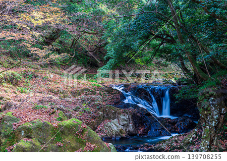 [Japan's Top 100 Waterfalls] Ryuzu Yaetaki Waterfall, Yaetaki Waterfall in Late Autumn, Autumn Leaves Waterfall 2, Unnan City, Shimane Prefecture 139708255