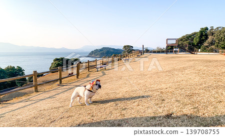 法國鬥牛犬隊在最西端地區比賽 139708755