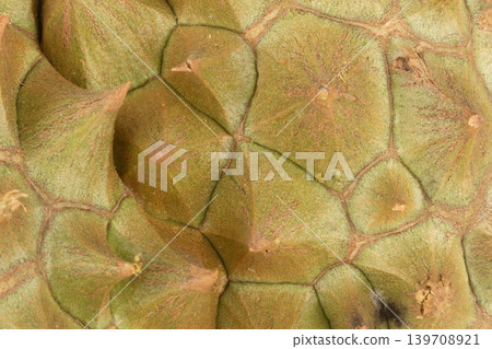 Durian peel texture closeup shell Durian peel texture closeup shell 139708921