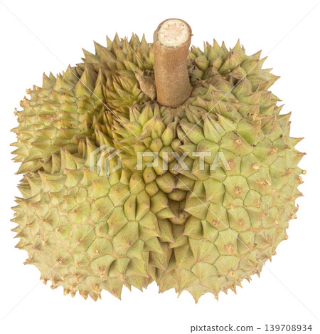 durian isolated on white background durian isolated on white background 139708934