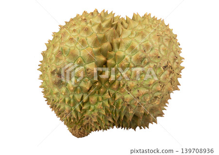 durian isolated on white background durian isolated on white background 139708936
