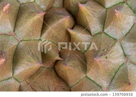 Durian peel texture closeup shell Durian peel texture closeup shell 139708938