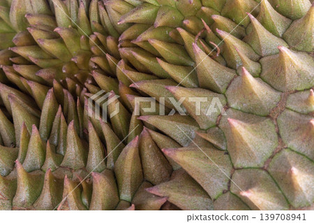 Durian peel texture closeup shell Durian peel texture closeup shell 139708941