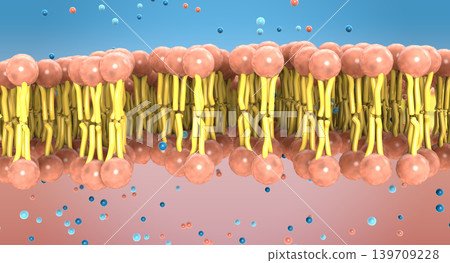 Small molecules passing the cell membranes lipid bilayer - 3d illustration Small molecules passing the cell membranes lipid bilayer - 3d illustration 139709228