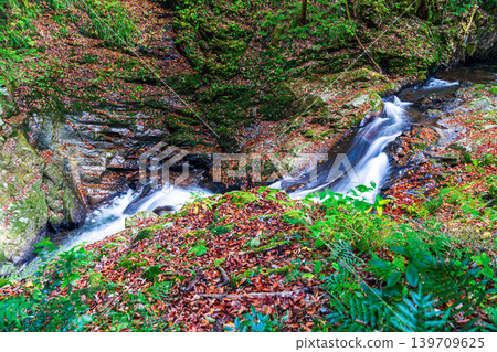 [Japan's Top 100 Waterfalls] Ryuzu Yaetaki Waterfall, Yaetaki Waterfall in Late Autumn, Hime Falls 5, Unnan City, Shimane Prefecture 139709625