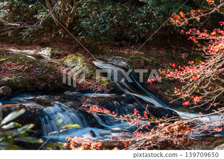 [Japan's Top 100 Waterfalls] Ryuzu Yaetaki Falls: Autumn Leaves and Streams (9) - Unnan City, Shimane Prefecture 139709650