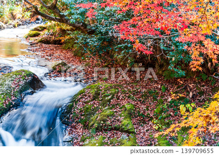 [Japan's Top 100 Waterfalls] Ryuzu Yaetaki Falls: Autumn Leaves and Streams (Part 12) - Unnan City, Shimane Prefecture 139709655