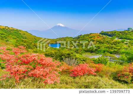 (靜岡縣)從杜鵑花盛開的箱根憲岳看的富士山 (靜岡縣)從杜鵑花盛開的箱根憲岳看的富士山 139709773