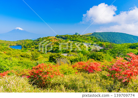 (Shizuoka Prefecture) Mt. Fuji seen from the azalea blooming Hakone Gendake (Shizuoka Prefecture) Mt. Fuji seen from the azalea blooming Hakone Gendake 139709774