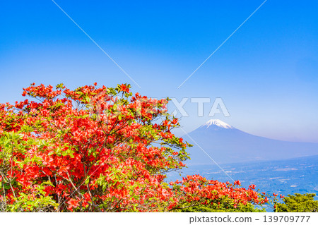 (Shizuoka Prefecture) Mt. Fuji seen from the azalea blooming Hakone Gendake (Shizuoka Prefecture) Mt. Fuji seen from the azalea blooming Hakone Gendake 139709777
