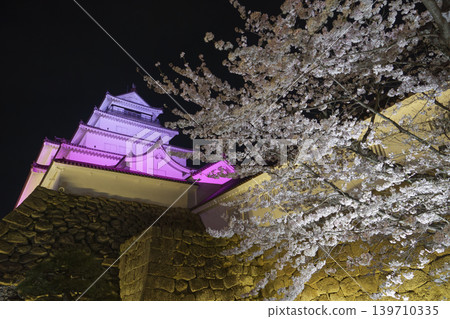 Aizu Tsuruga Castle Night View Aizu Tsuruga Castle Night View 139710335
