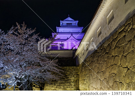 會津敦賀城夜景 會津敦賀城夜景 139710341