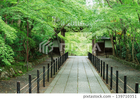 光明寺:綠意盎然,還有藥井門 光明寺:綠意盎然,還有藥井門 139710351