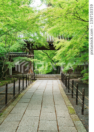 Komyoji Temple: Fresh greenery and the Yakui Gate Komyoji Temple: Fresh greenery and the Yakui Gate 139710359