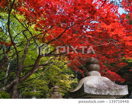 Nomuramo Misji Nomuramo Misji 139710448