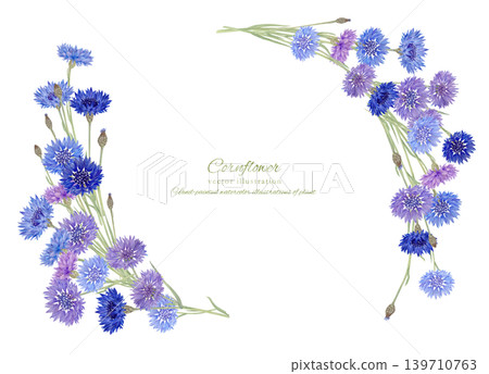 矢車菊水彩插畫 矢車菊水彩插畫 139710763