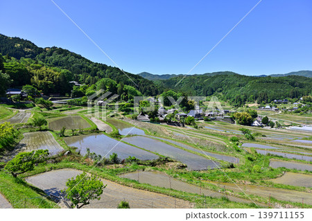 Terraced rice fields during rice planting season Terraced rice fields during rice planting season 139711155