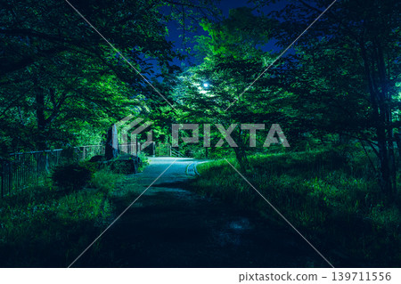 一張夜晚森林樹葉的照片。 一張夜晚森林樹葉的照片。 139711556