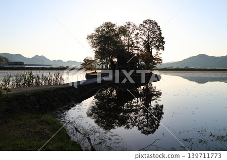 ◇Suhama Shrine (early morning) / Nishiike Pond (also known as "Kamoike"), Hayashida area, Himeji City, Hyogo Prefecture ◇Suhama Shrine (early morning) / Nishiike Pond (also known as "Kamoike"), Hayashida area, Himeji City, Hyogo Prefecture 139711773