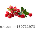 Fresh cowberry berries with leaves, isolated on white background. Ripe cranberry, cowberry, lingonberry. Clipping path. 139711973