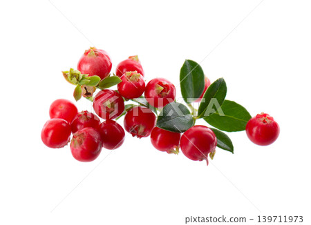 Fresh cowberry berries with leaves, isolated on white background. Ripe cranberry, cowberry, lingonberry. Clipping path. Fresh cowberry berries with leaves, isolated on white background. Ripe cranberry, cowberry, lingonberry. Clipping path. 139711973